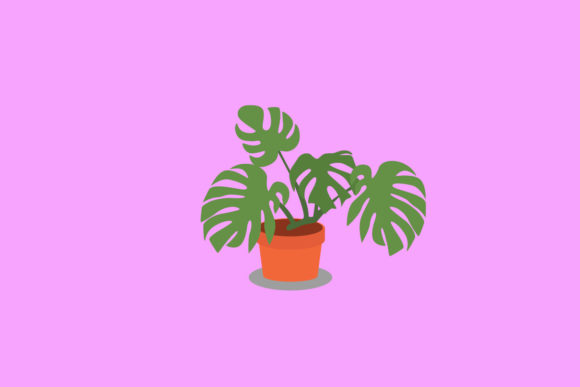 Monstera Decorative Plants Vector: Bring Lush, Tropical Vibes to Your Designs
