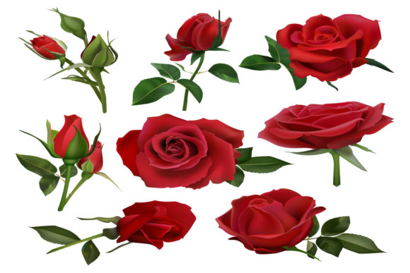Realistic Decorative Roses Bouquet: A Designer's Guide